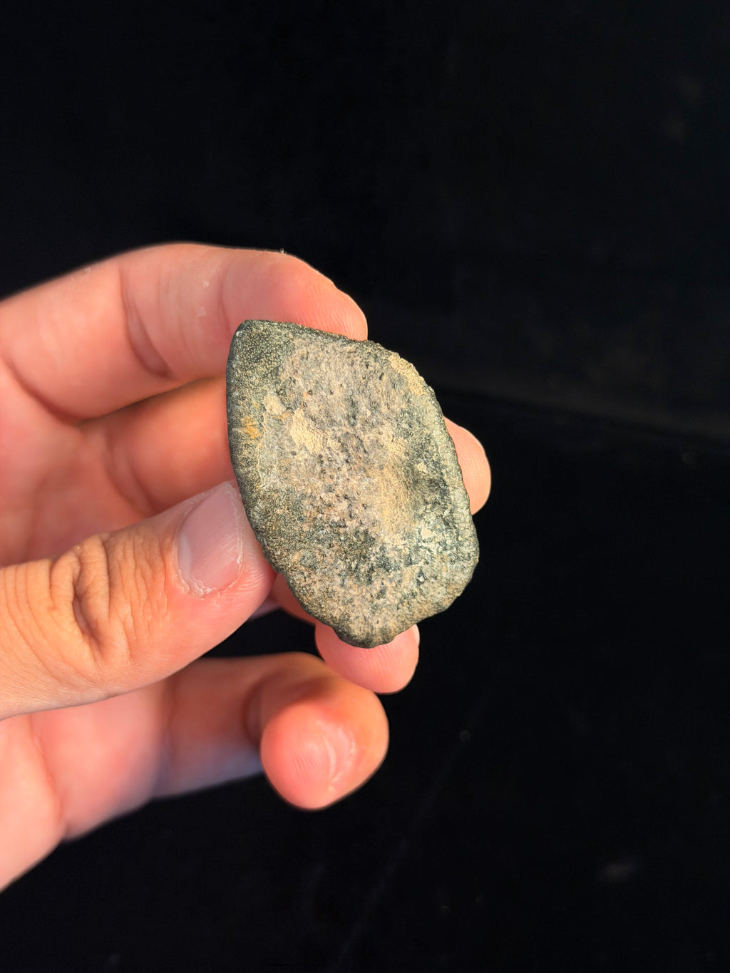 Ankylosaur Scute – 1.90" – Hell Creek Formation, Montana