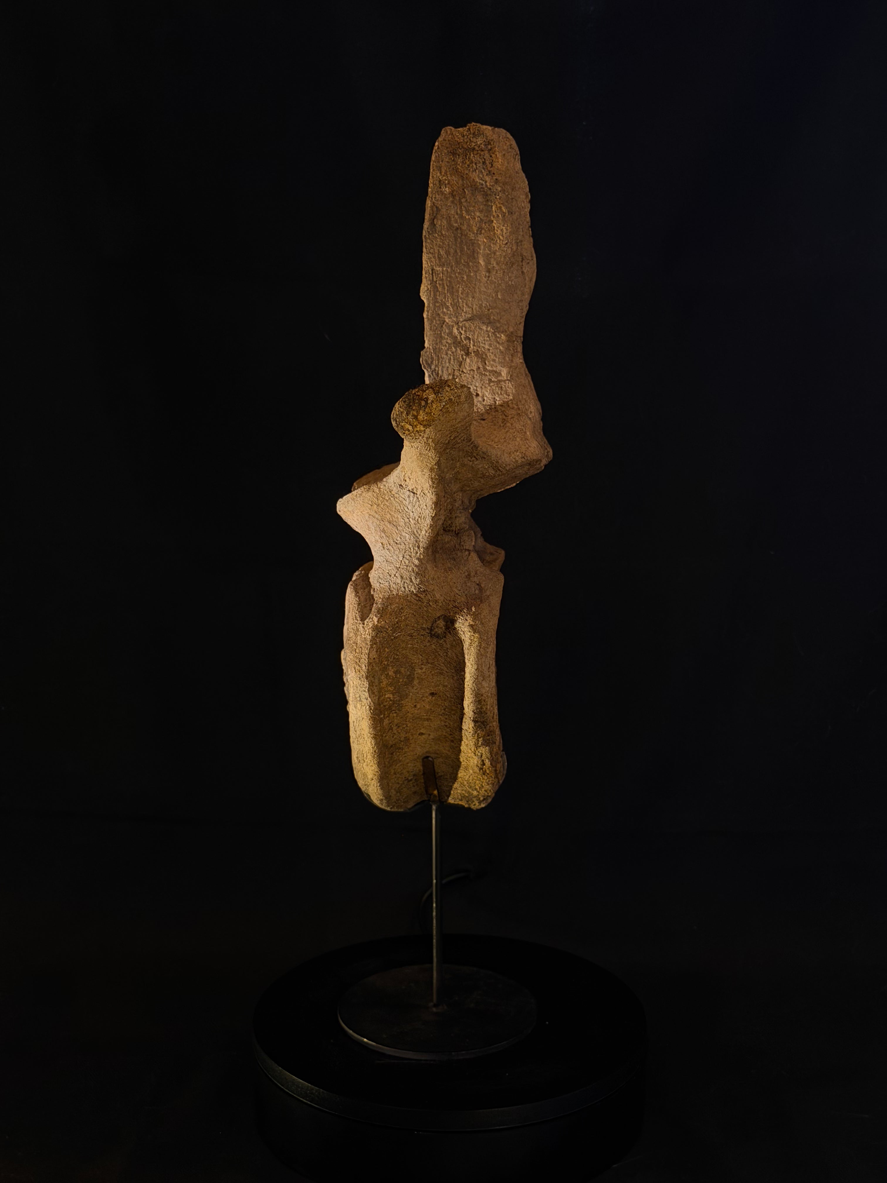 Hadrosaur Dorsal Vertebra - Hell Creek Formation