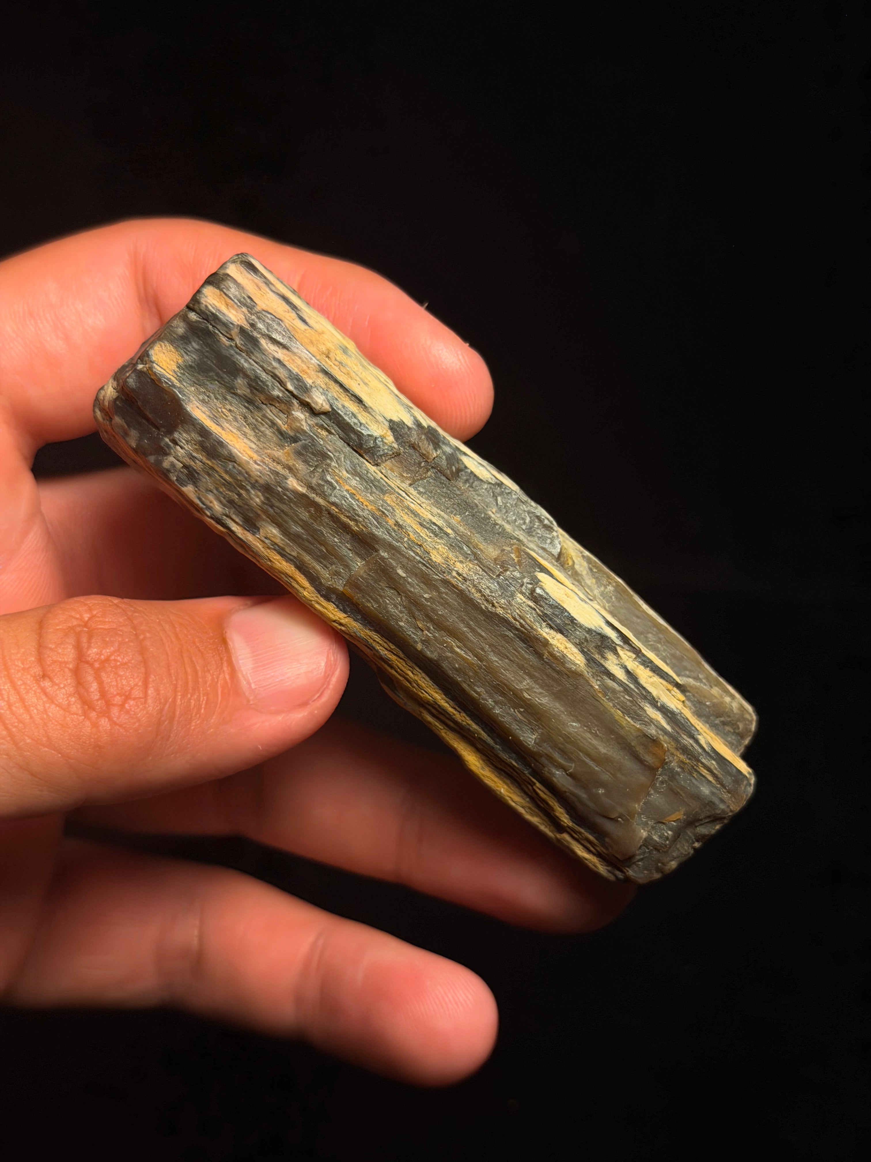 Petrified Wood – 3.43" – Hell Creek Formation, Montana