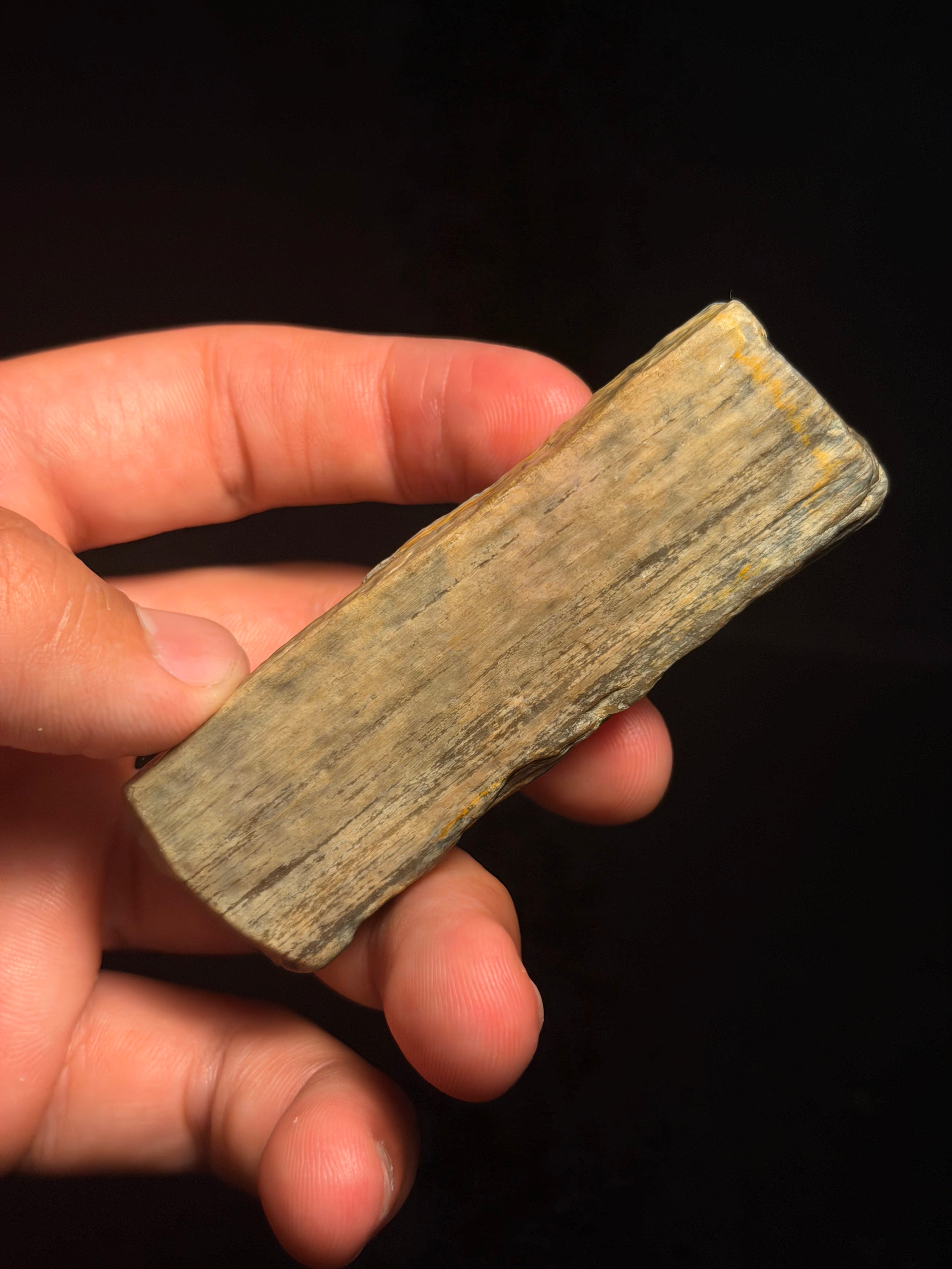 Petrified Wood – 3.43" – Hell Creek Formation, Montana