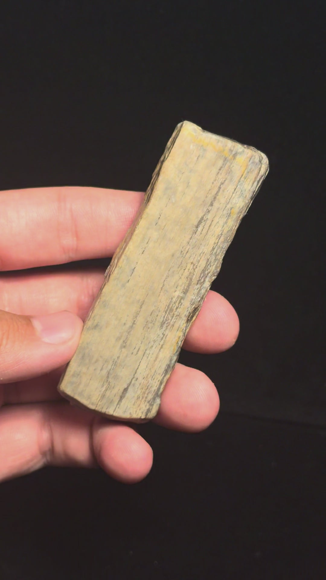 Petrified Wood – 3.43" – Hell Creek Formation, Montana