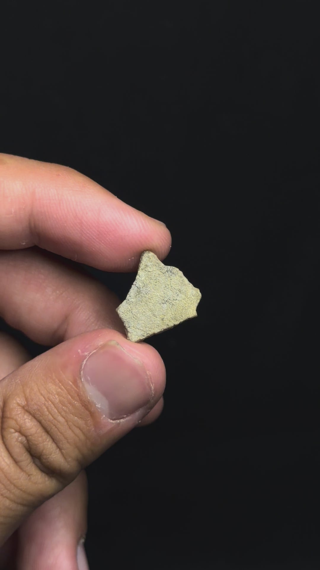 Framed Dinosaur Eggshell - Late Cretaceous, France