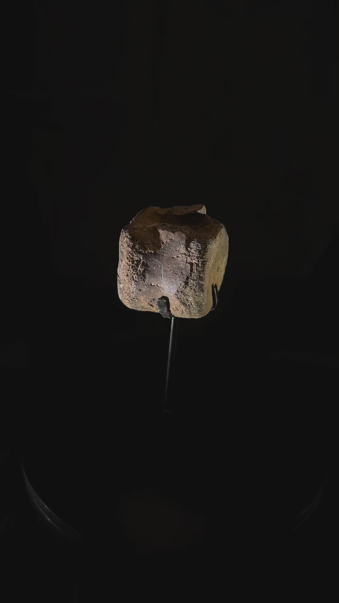 Hadrosaur Tail Vertebra - Hell Creek Formation